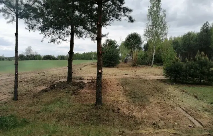 Jak wykarczować działkę: proste kroki do efektywnego oczyszczenia terenu